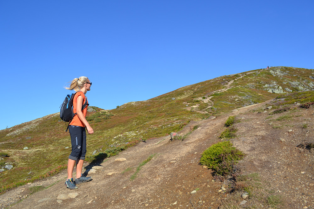 Endelig over tregrensa. Dette terrenget minner meg om Nord-Norge, for ikke å snakke om at vinden her oppe minte meg om nord!