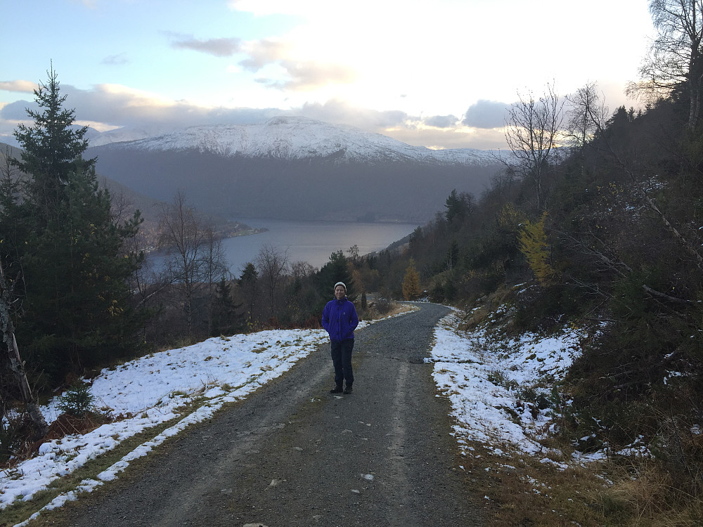 Vi gikk opp fra Åberge og fulgte veien opp mot Hølsete.