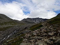 Tomis_20170814_5991a044d48b3.jpg