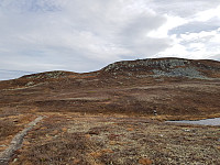 Tomis_20181019_5bca009adf20d.jpg
