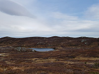 Tomis_20181019_5bca009ca3b57.jpg