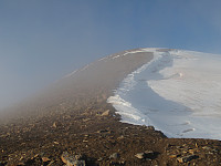 tomis_p9200009.jpg