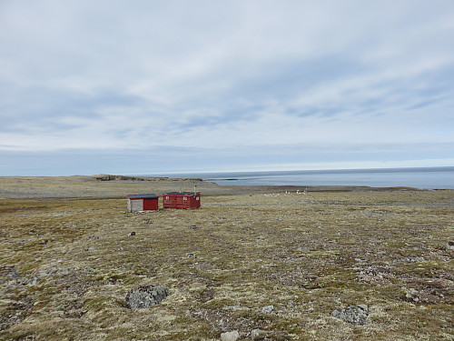 Sagatun, en av metens velferdshytter med en ansamling polarmåker