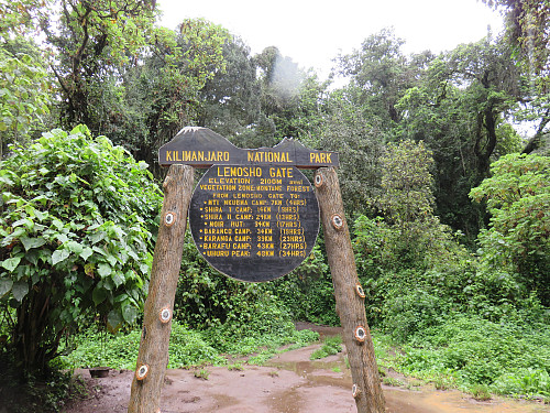 Lemosho gate, her startet turen mot Kilimanjaro