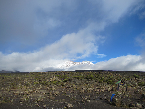 Kilimanjaro titter frem fra skyene ut på ettermiddagen, Shira 2