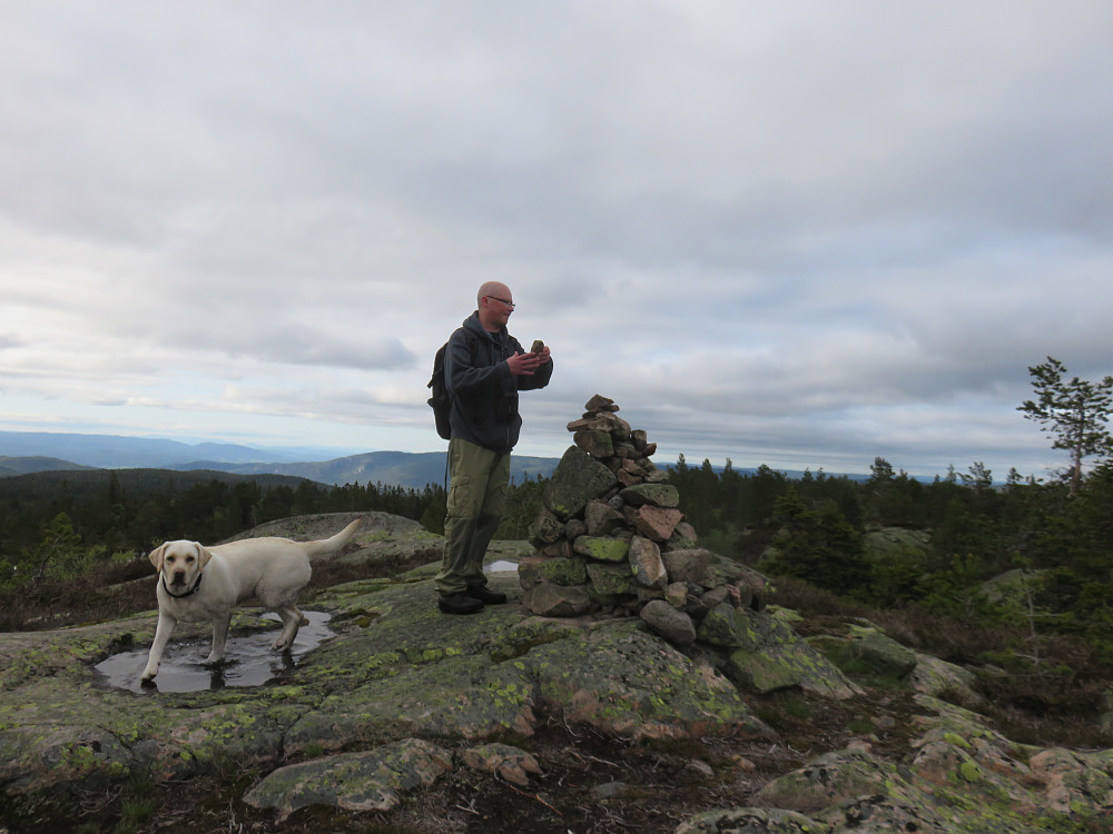 Vestfjellet