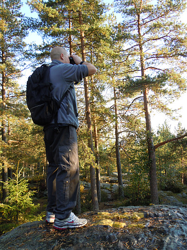 Skåding på Tårnåsen