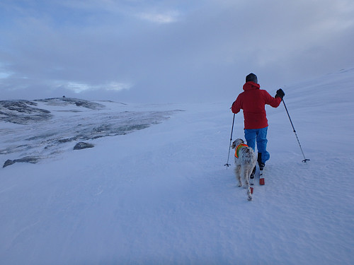Lite snø på fjellet