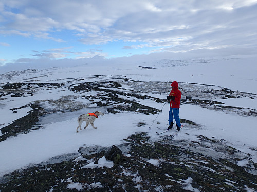 Rune og hundene i vinden på toppen av Slettvolla