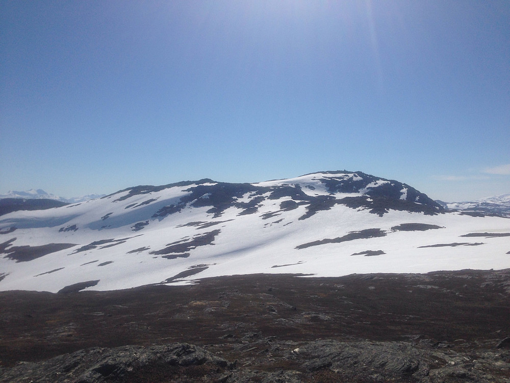 Mot Vardheia
