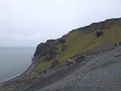 Kvalrossen