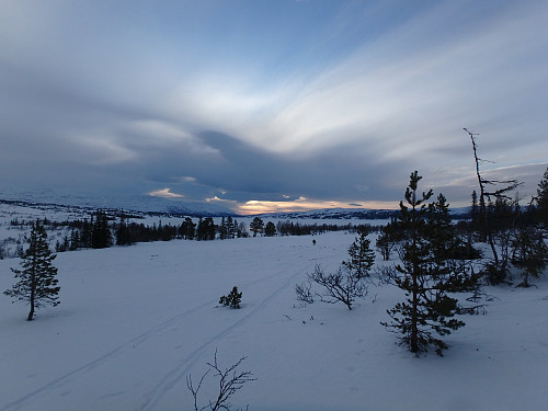 Fint i skjækerfjellene
