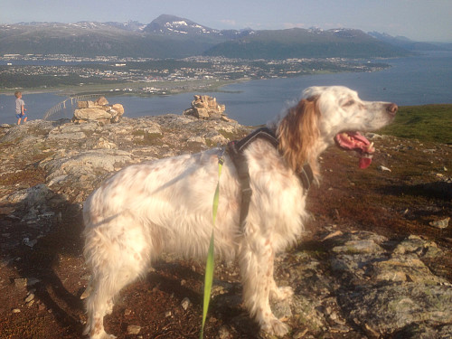 Teis på Finnlandsfjellet, fin utsikt mot blant annet Tromsdalstind
