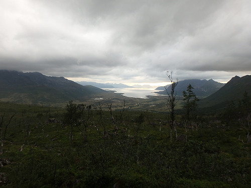 Fint lys over Forfjorden på vei opp mot Skrivartinden