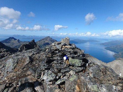 Toppvarden
