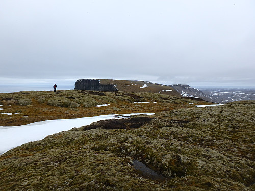 Utsikt mot Hambergfjellet fra toppen av Fuglefjellet