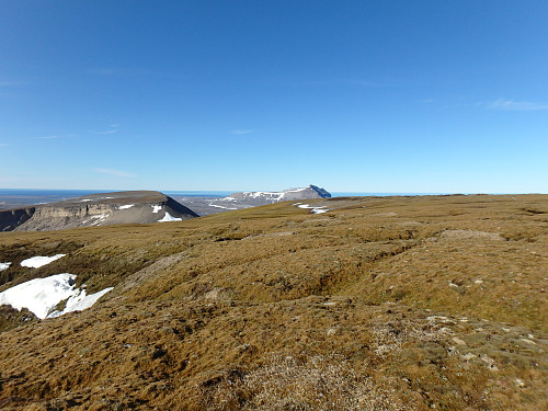 Torvformasjoner på toppen av Hambergfjellet. Alfredfjellet og Misery i bakgrunnen