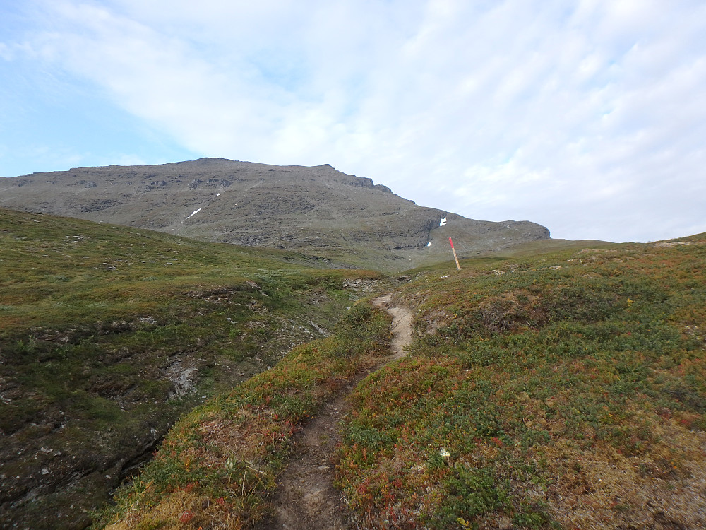 Svartnestinden