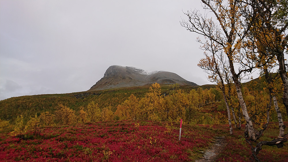 Fine høstfarger i Troms nå