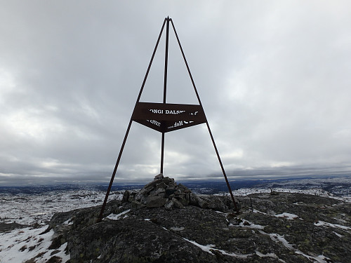Toppen av Åmli