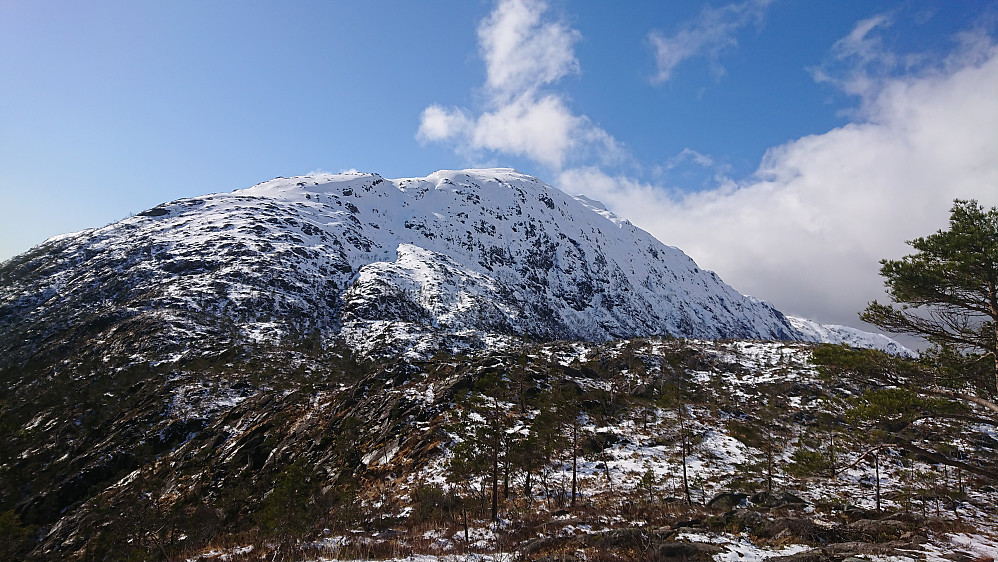 Svenningen