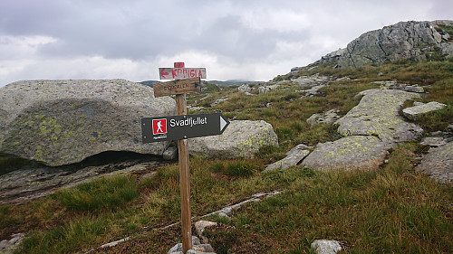Godt skiltet i stikryss
