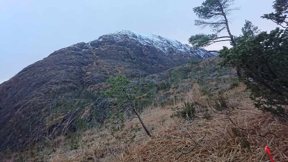 Snø på toppen av Svenningen