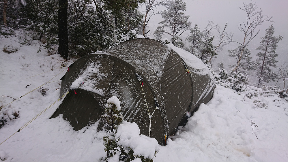 Det snør det snør tidelibom 