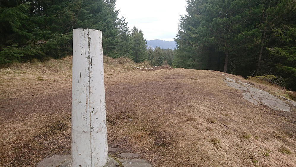 Hamrefjellet 