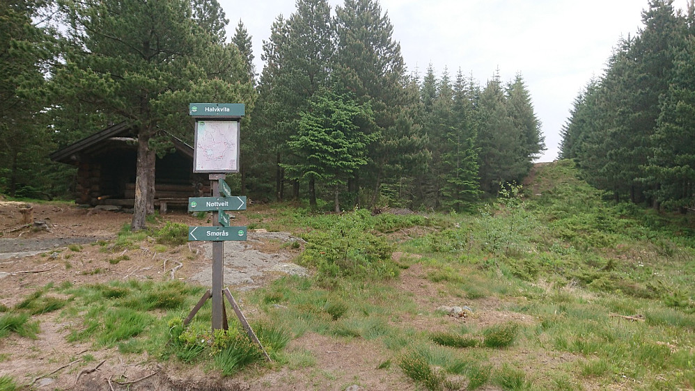 Halvkvila, ti på topp målet 