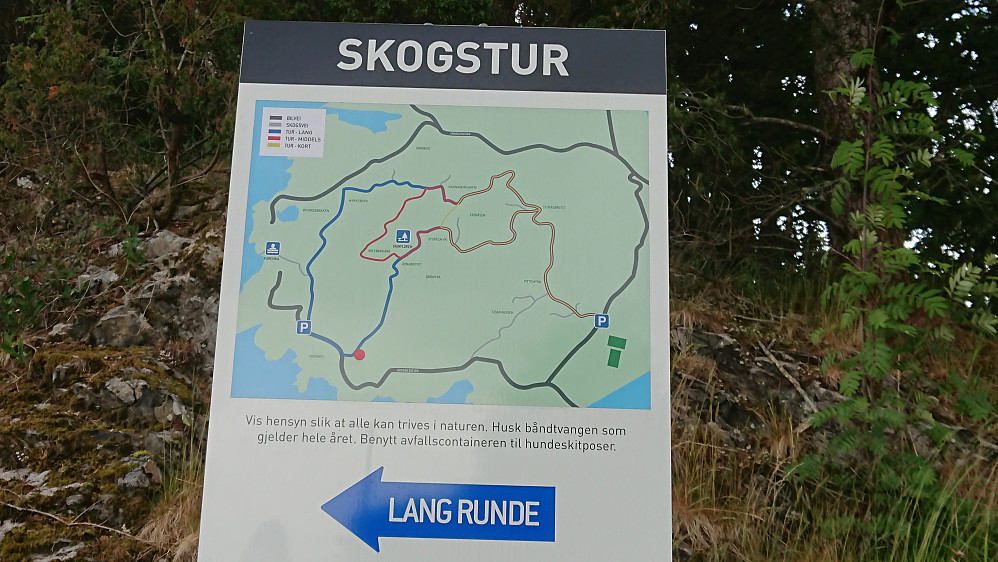 Stiene i Hrordnesskogen