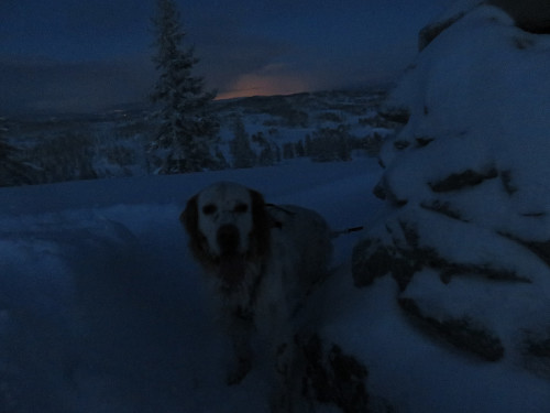 Teis på toppen:)