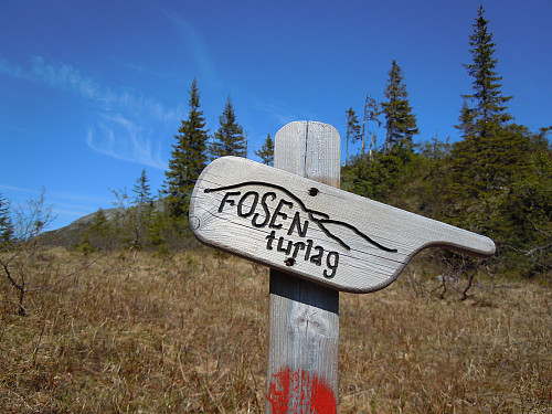 Fosen turlag viser vei til toppen