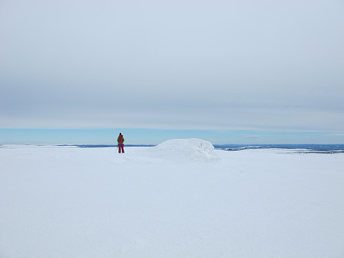 Tuva med nedsnødd varde