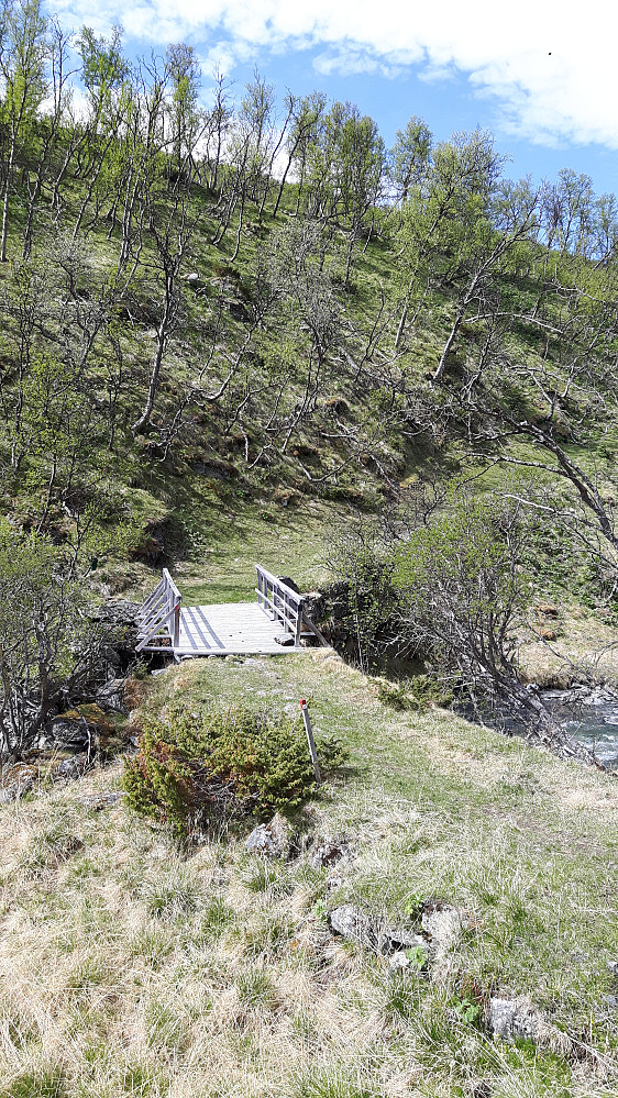 Retur delvis på pilgrimsleden