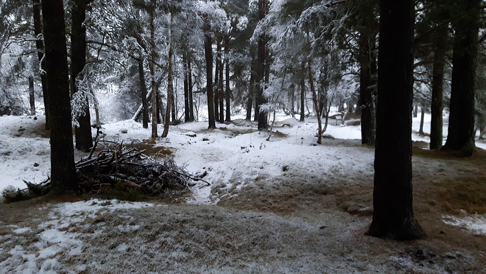 Gravfeltet på Vang