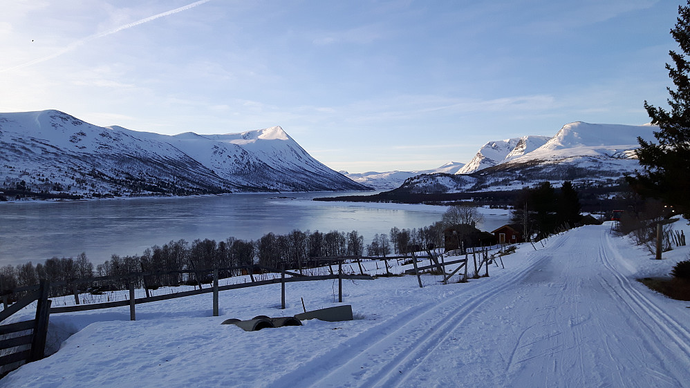 Flotte forhold