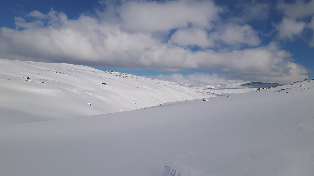 Fint skiføre