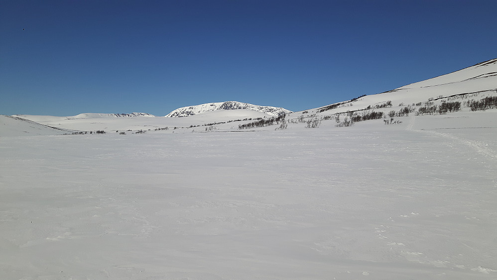 Flotte forhold