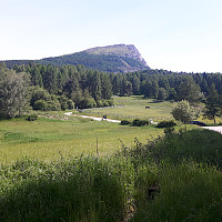 elleso_20170626_5950ec498eaf5.jpg
