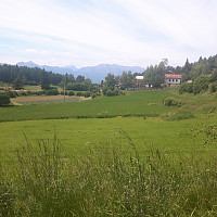 elleso_20170626_5950ecf5399a1.jpg