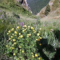 elleso_20170626_5950f02bb5c99.jpg