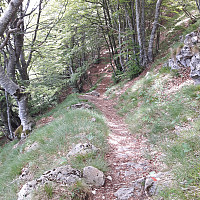 elleso_20170626_5950f0c4d10d3.jpg