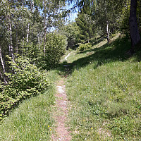 elleso_20170626_5950f2e800b46.jpg