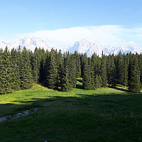 elleso_20170626_5950f81946d1e.jpg