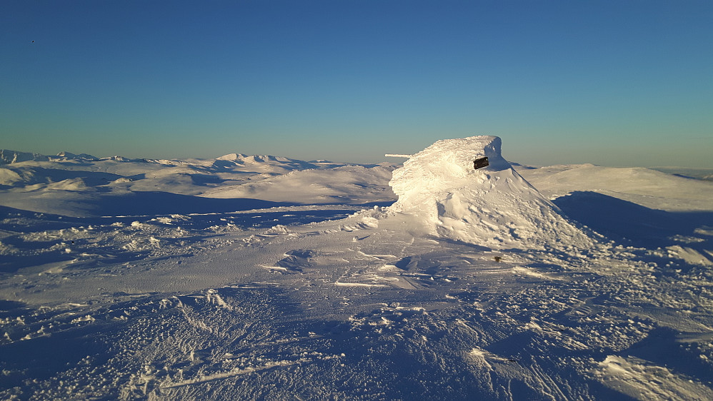 Dessverre fokksnøføre