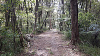 elleso_20190227_5c76c21abf240.jpg
