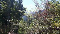 elleso_20190227_5c76d8b03cd82.jpg