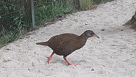 elleso_20190227_5c76e0c5da2d0.jpg