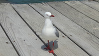 elleso_20190227_5c76e0f920571.jpg